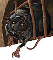 Sewer Rat by Warren Mahy.jpg