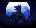 Wolfman by JessicaElwood.jpg