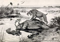 Smilodon and Canis dirus.jpg