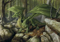 Green Dragon 3.jpg